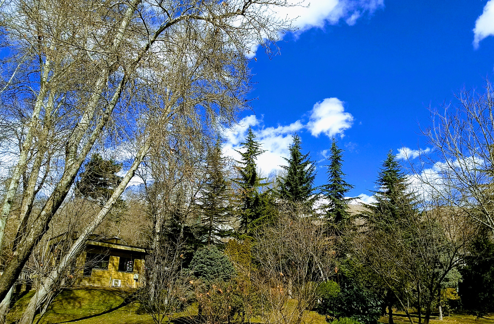 Slider Image