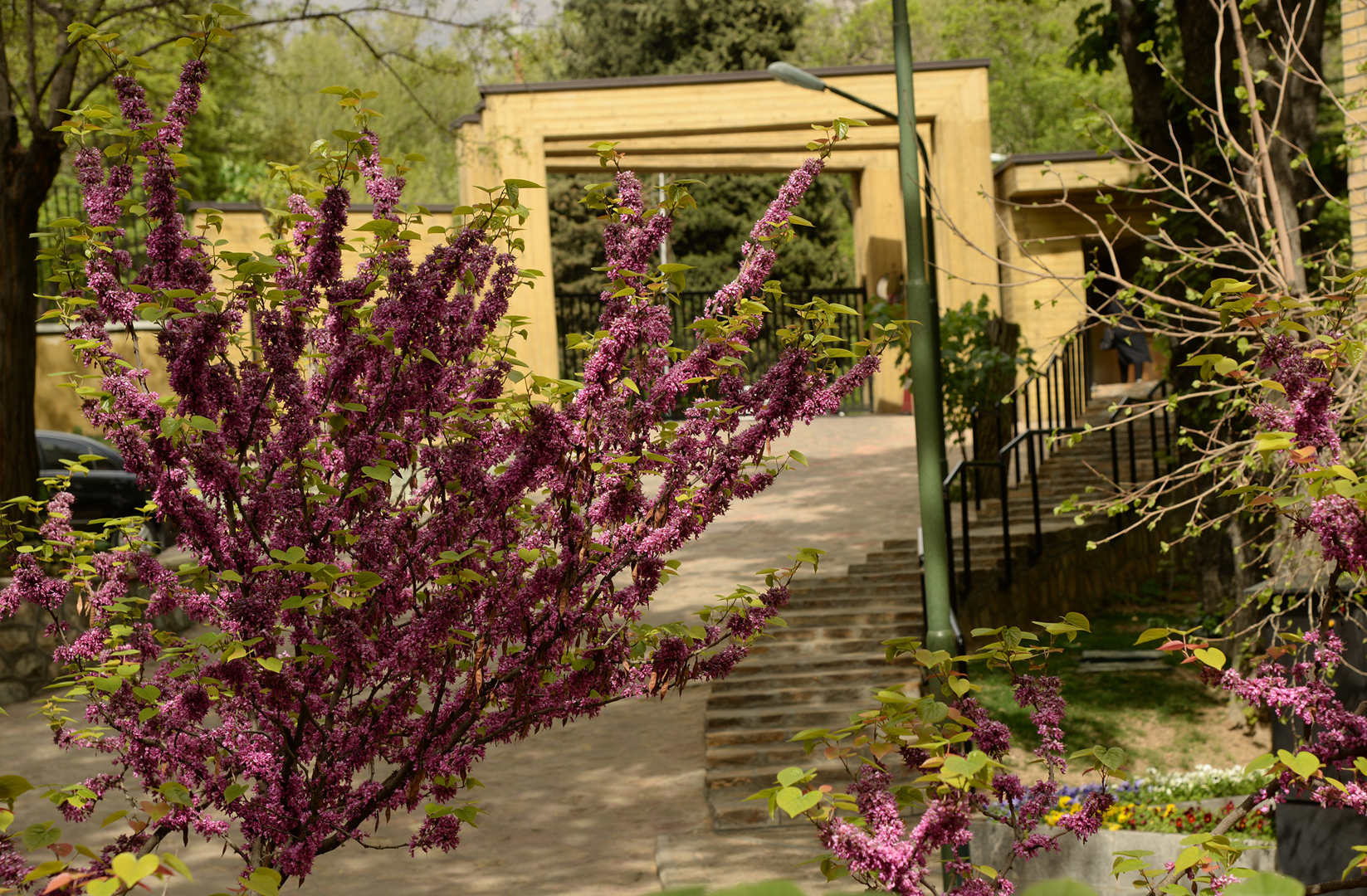 Slider Image